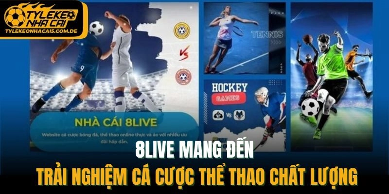 8Live mang đến trải nghiệm cá cược thể thao chất lượng