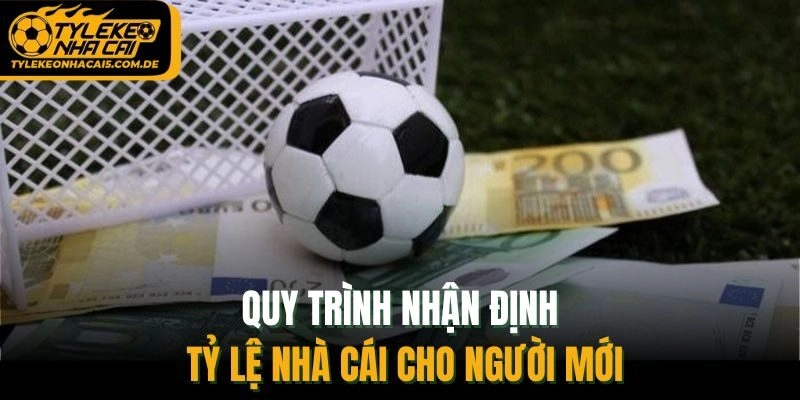 Quy trình nhận định tỷ lệ nhà cái cho người mới